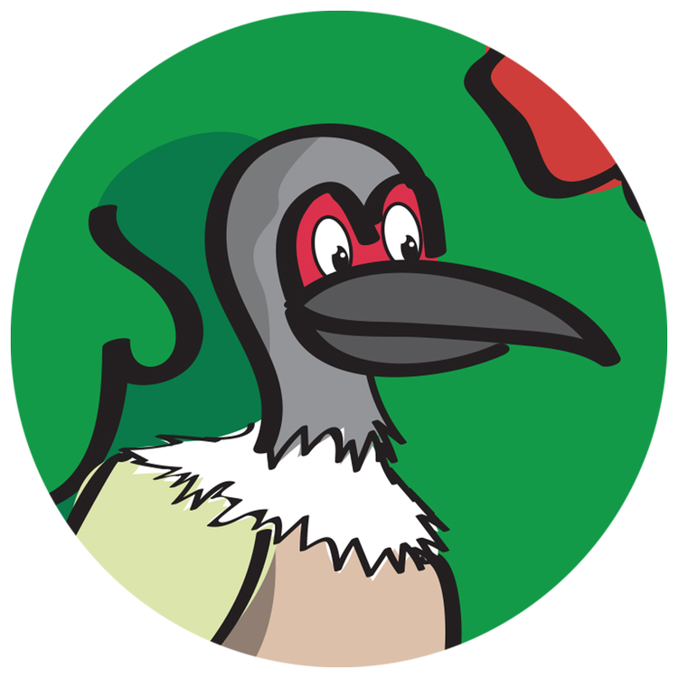 Bruce the Friarbird — character illustration